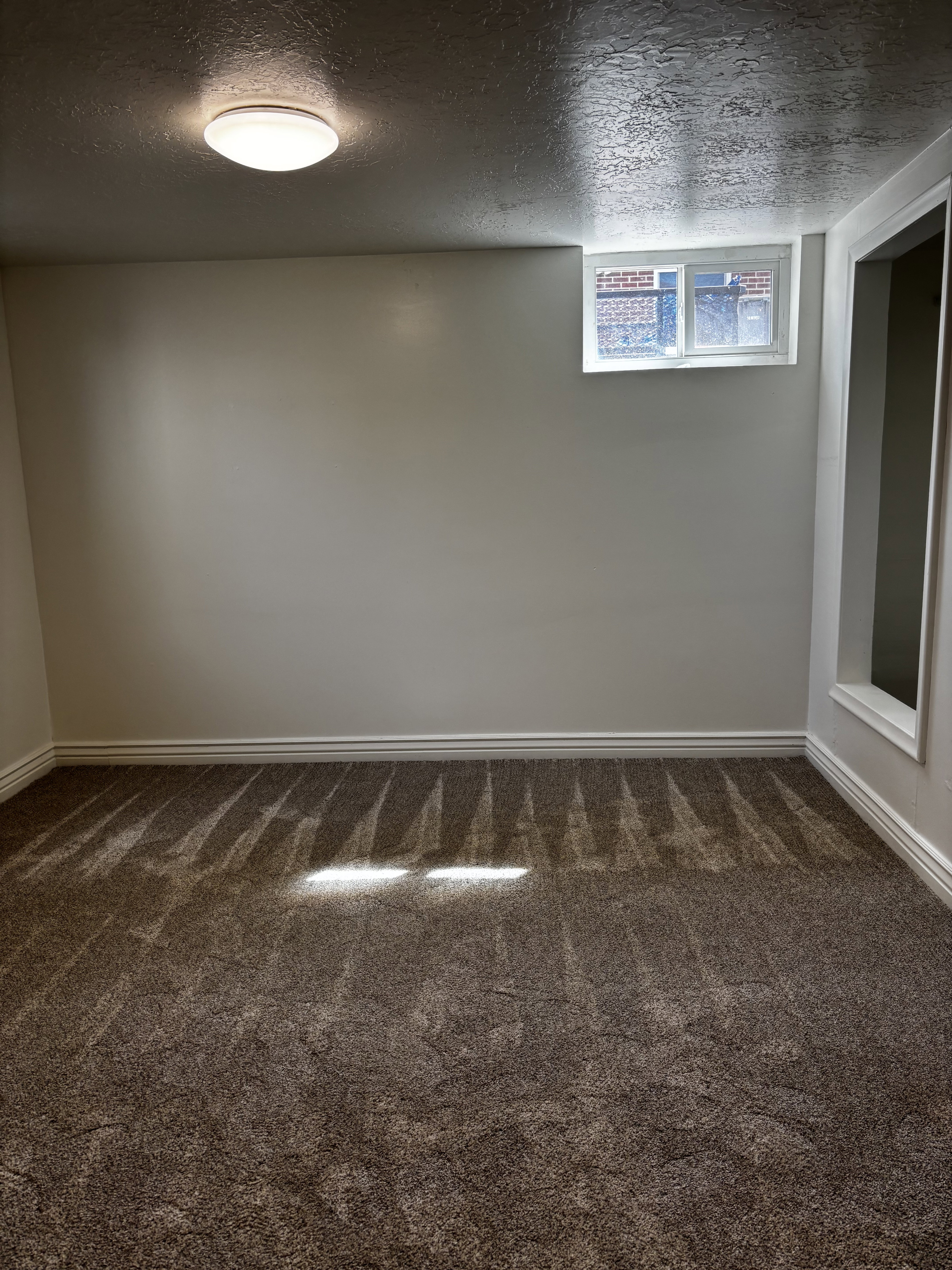 Room featuring neutral wall paint, textured ceiling, brown carpet flooring, and a single window