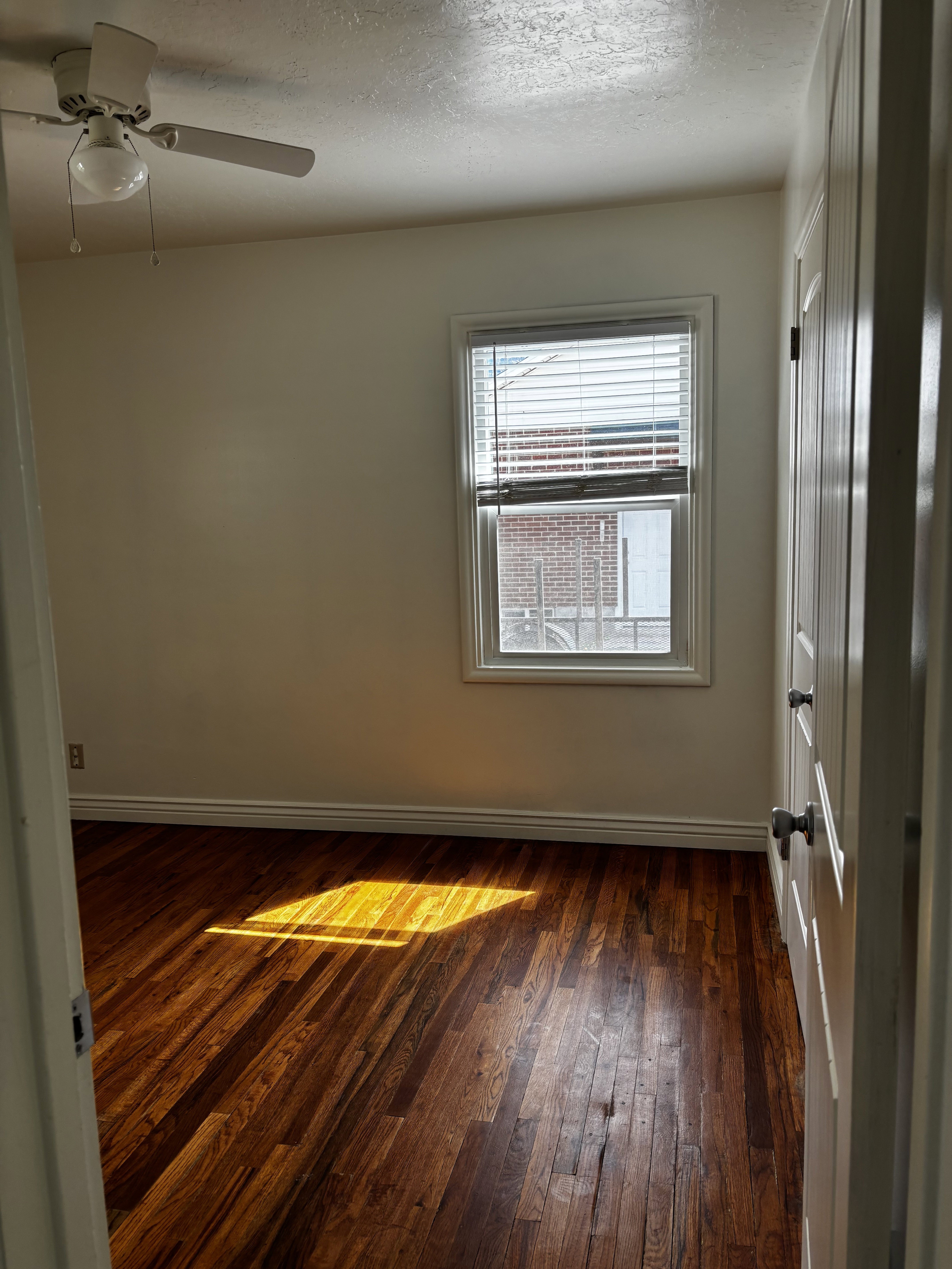 Room featuring wood-finish flooring, a window with blinds, a ceiling fan with light fixture, white trim, and a paneled door