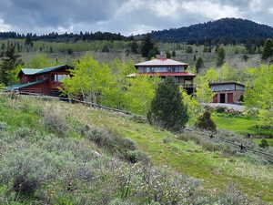 Expansive natural landscape featuring rolling hills and diverse vegetation