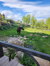 Expansive property featuring a verdant lawn, mature deciduous trees, a natural water feature, and a stone-paved pathway