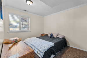 Carpeted room featuring a single window with blinds, cased opening, crown molding, and a flush-mount ceiling light