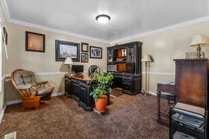 Dedicated office/den space featuring crown molding, neutral wall tones, chair rail detailing, textured carpeting, and a flush-mount ceiling light