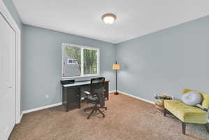 Bright room with carpeted flooring