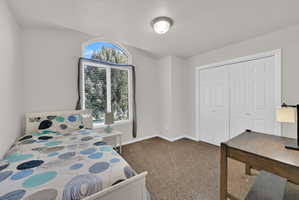 Carpeted room featuring a large arched window with horizontal blinds, providing ample natural light