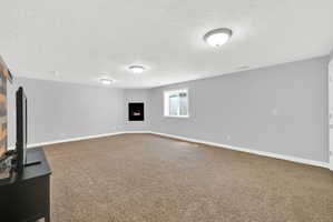 Spacious room featuring neutral carpeting, light gray walls, a built-in electric fireplace, and a window providing natural light