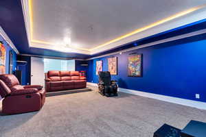 Cinema room