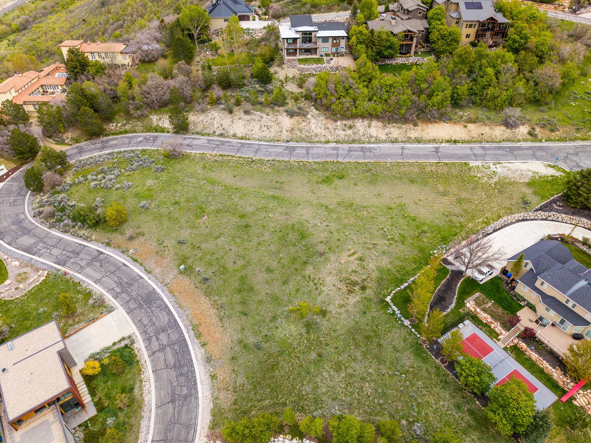 Expansive undeveloped lot featuring natural ground cover and surrounding mature trees