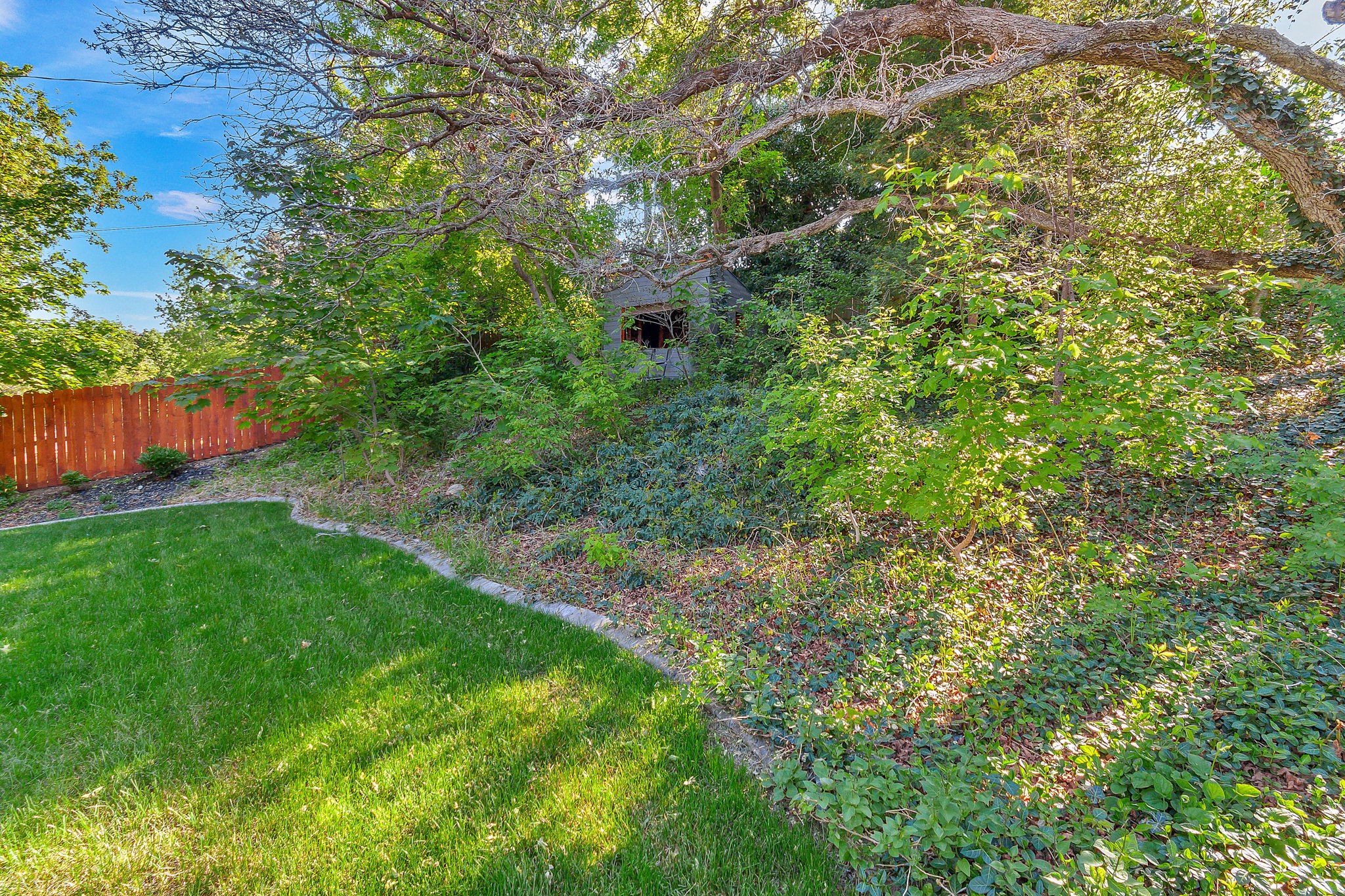Expansive backyard featuring a manicured lawn, established landscaping, and a wood privacy fence