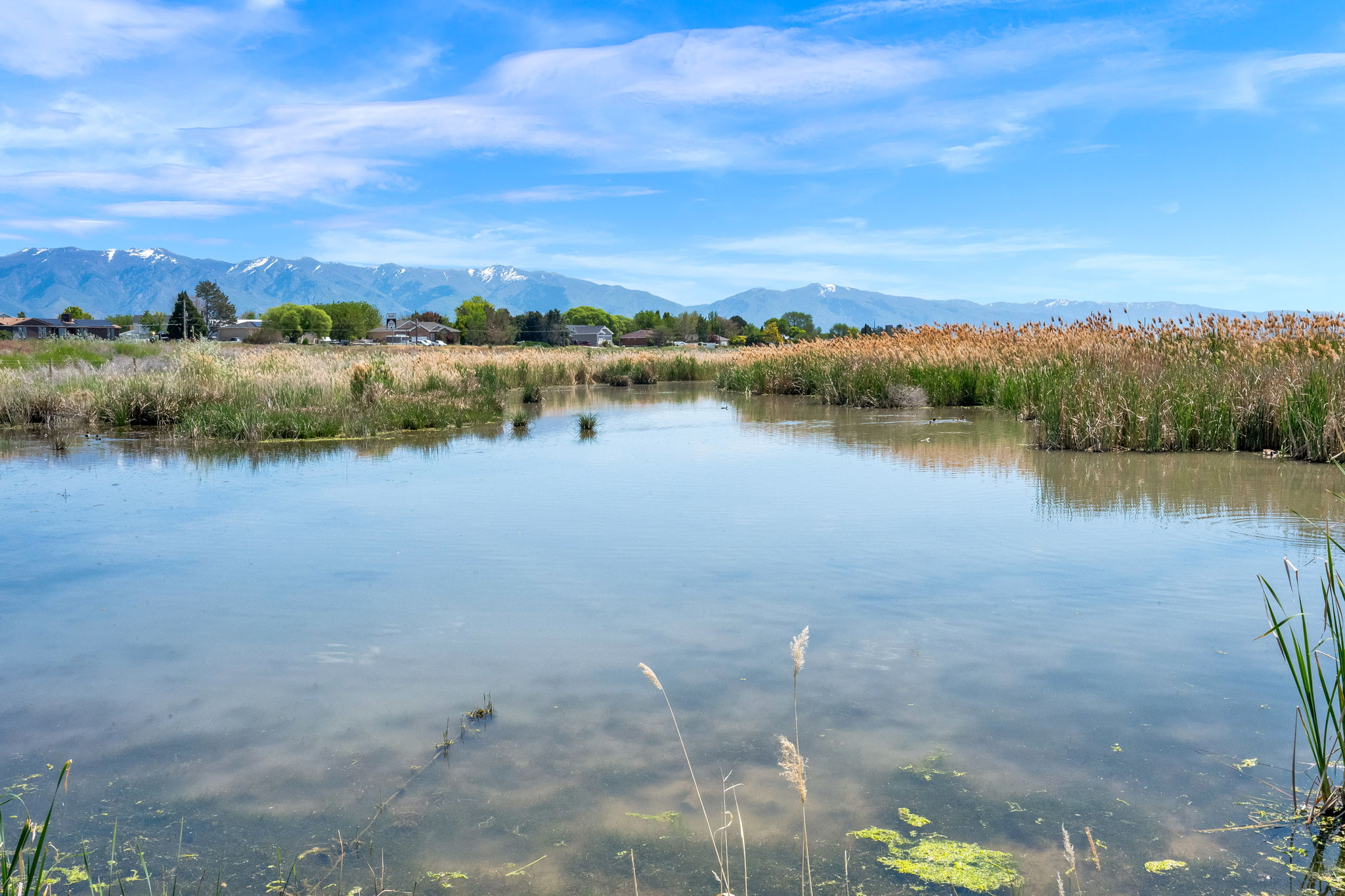 Expansive water feature with natural marshland vegetation, set against a distant mountain range with snow-capped peaks
