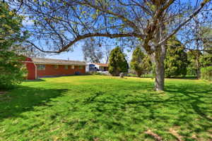 Expansive green lawn with mature trees providing dappled shade