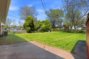 Expansive rear yard featuring a large grass lawn, mature trees, and a concrete patio