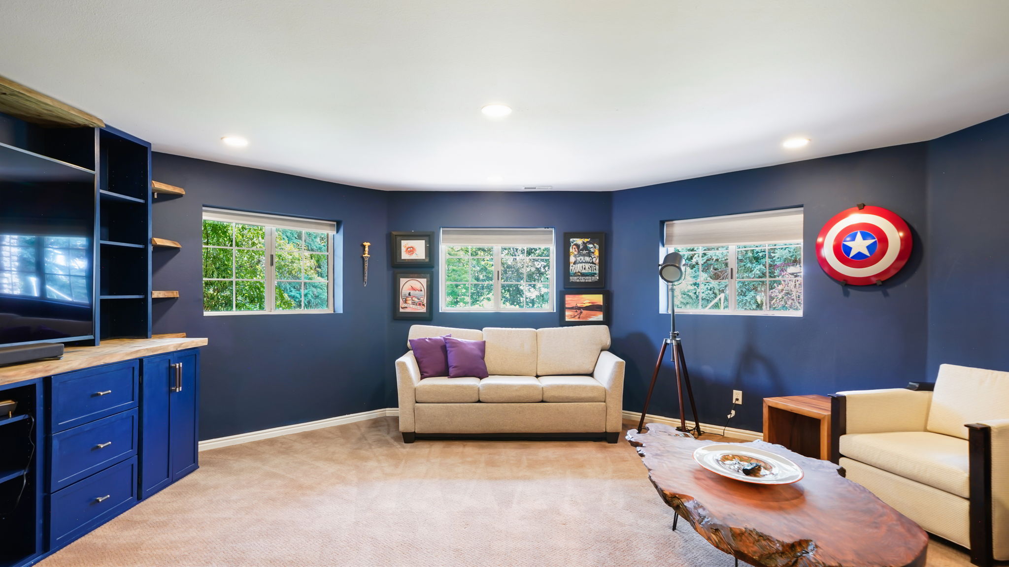 Movie/Media room in basement