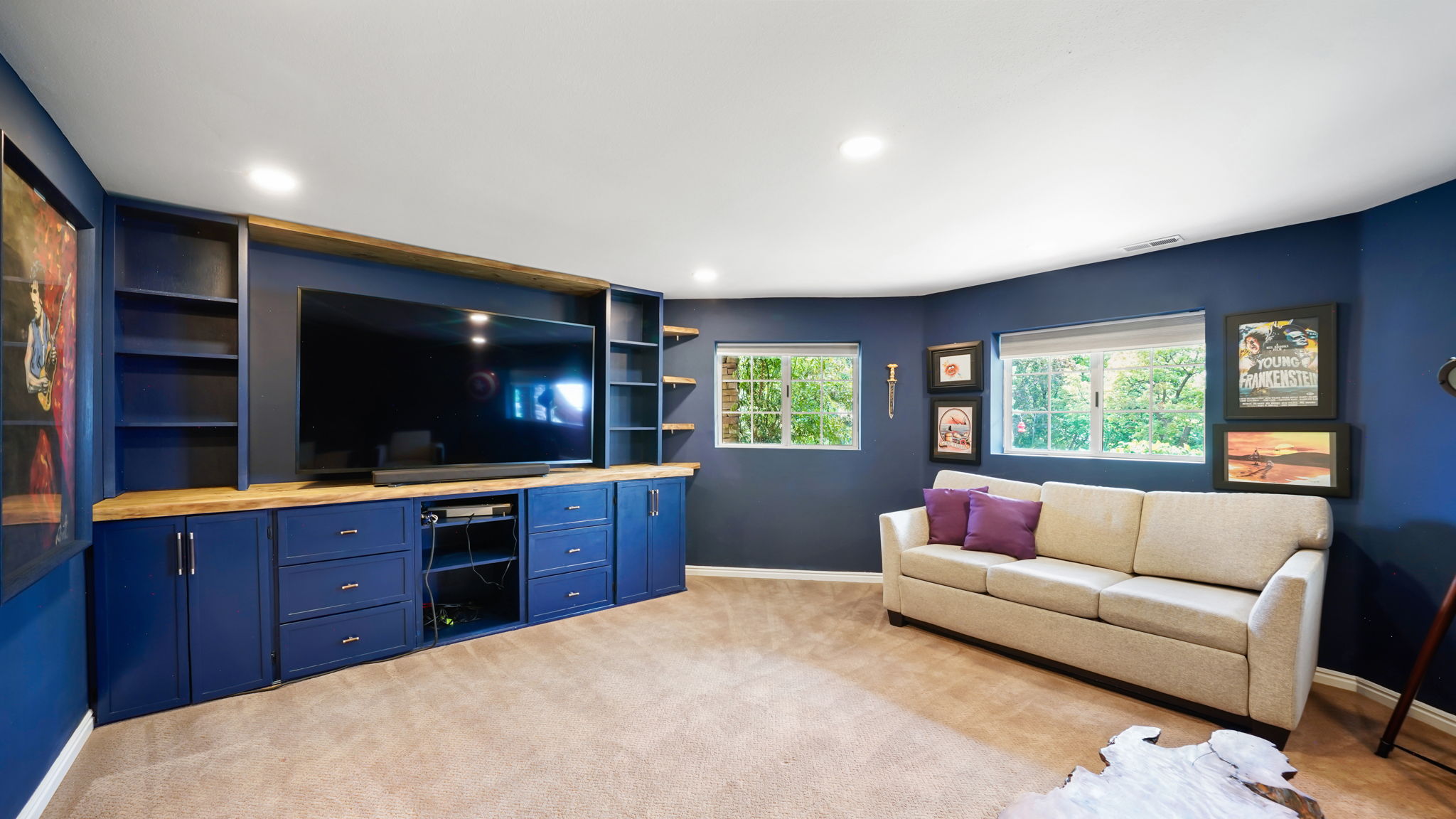 Movie/Media room in basement