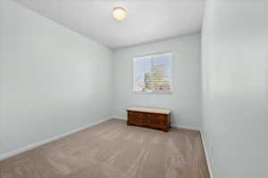 Carpeted room featuring light green walls, a single window with blinds, and a flush mount ceiling light