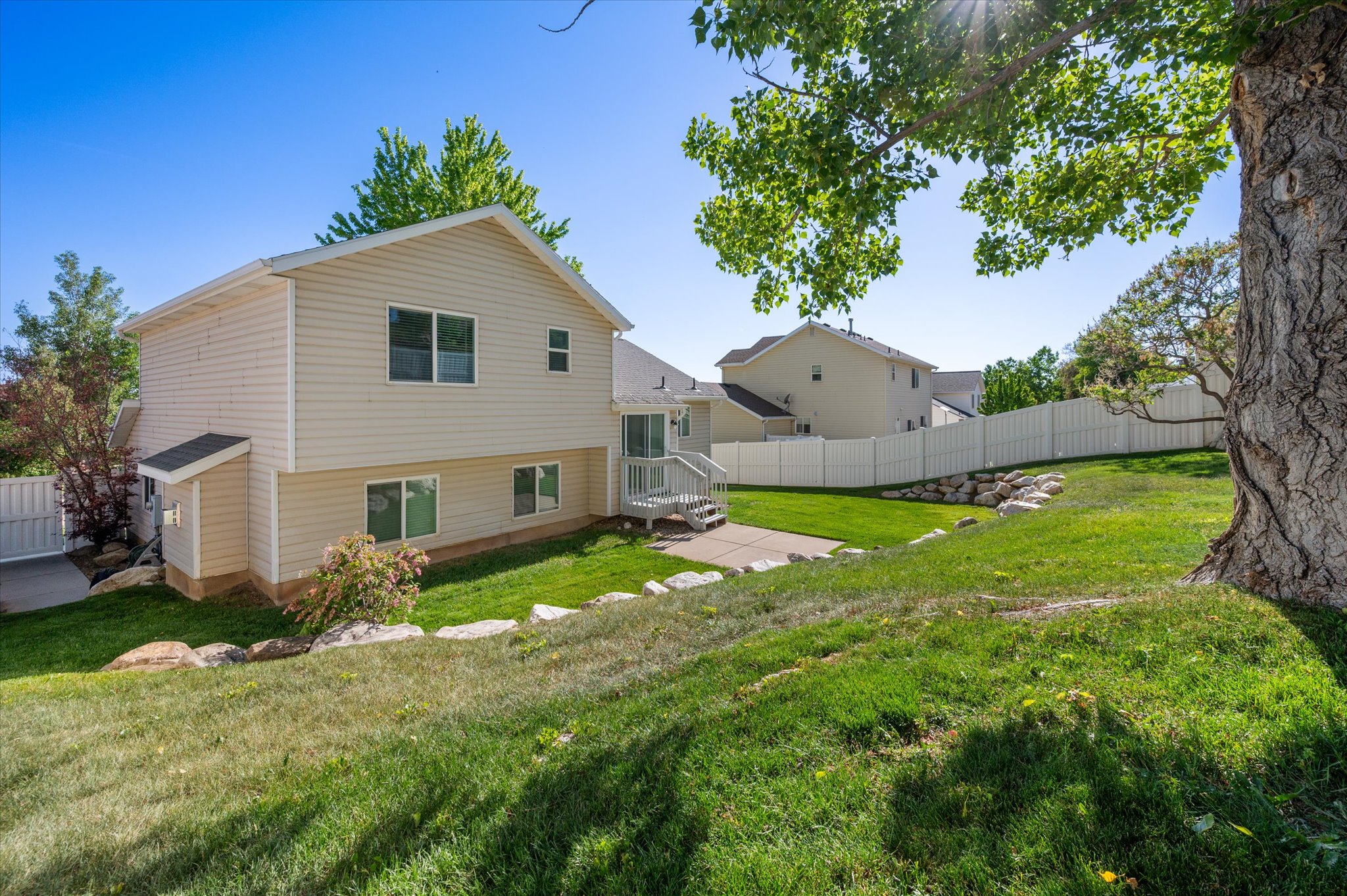 Expansive sloped backyard featuring a manicured lawn, established shade tree, and a concrete patio