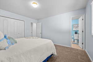 Carpeted room with light blue wall paint, featuring a ceiling-mounted light fixture and white baseboards