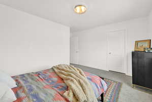 Room featuring a neutral color palette, grey carpet flooring, and white trim