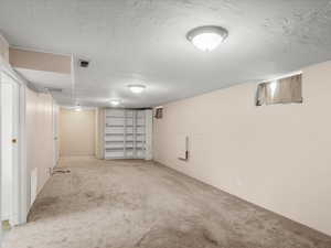 Spacious carpeted room featuring multiple ceiling-mounted dome lights, a built-in white shelving unit, and painted walls