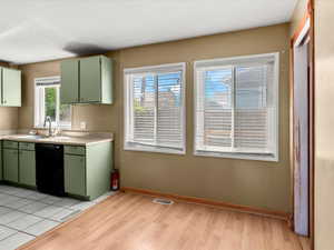 Kitchen area featuring green cabinetry with silver hardware, an undermount sink with a gooseneck faucet, and a black dishwasher