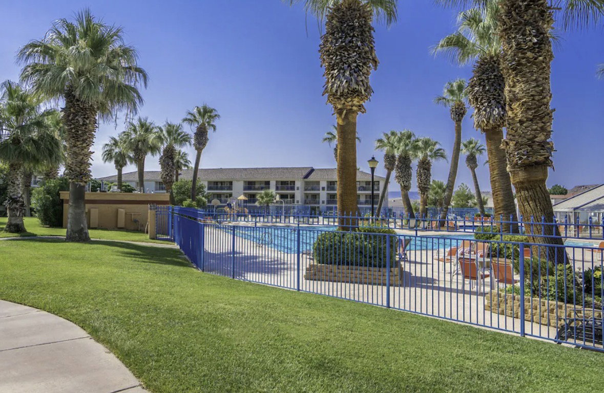 Expansive outdoor pool area featuring a blue metal fence, surrounding palm trees, and a concrete patio