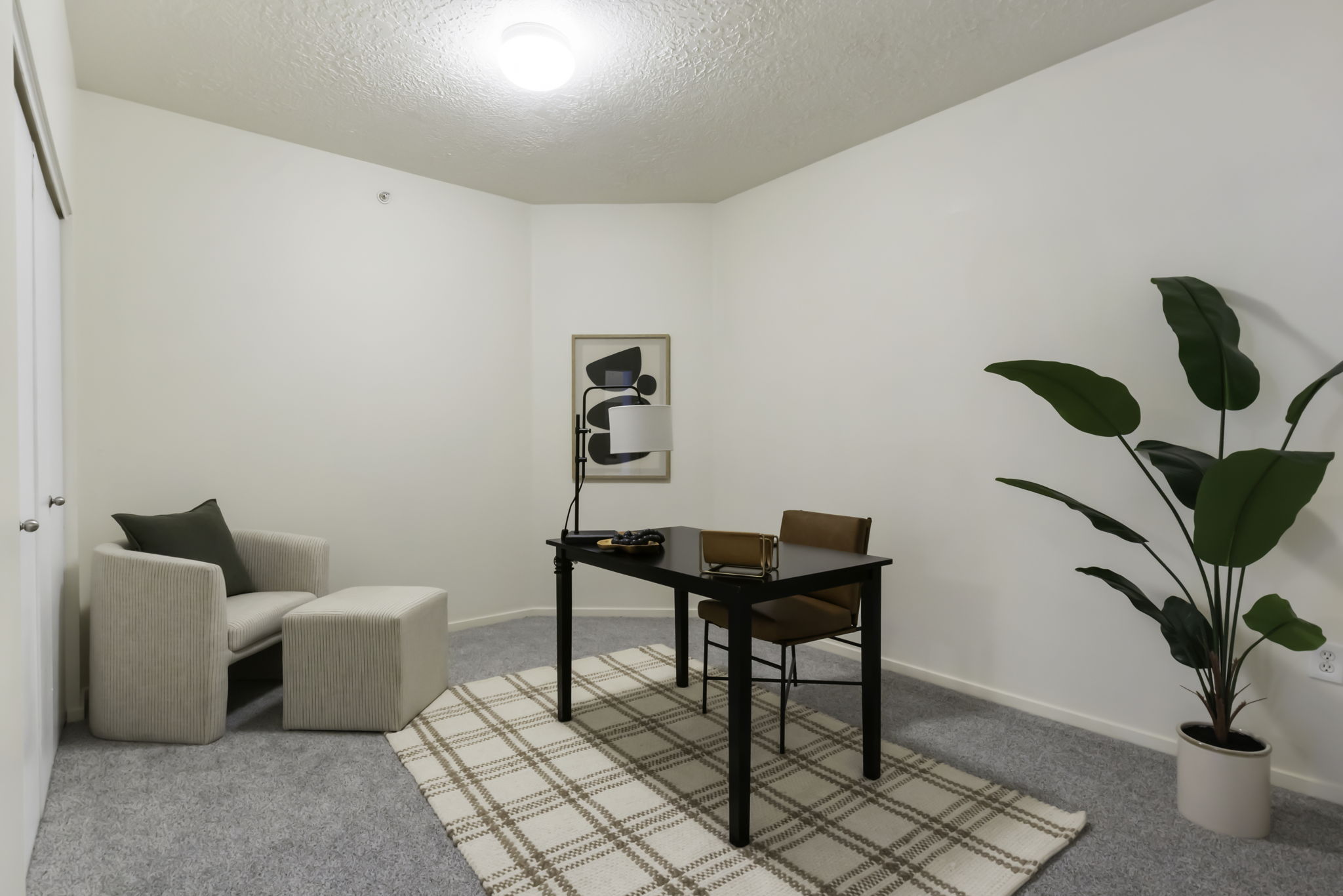 Corner room featuring light-colored walls and grey carpet flooring