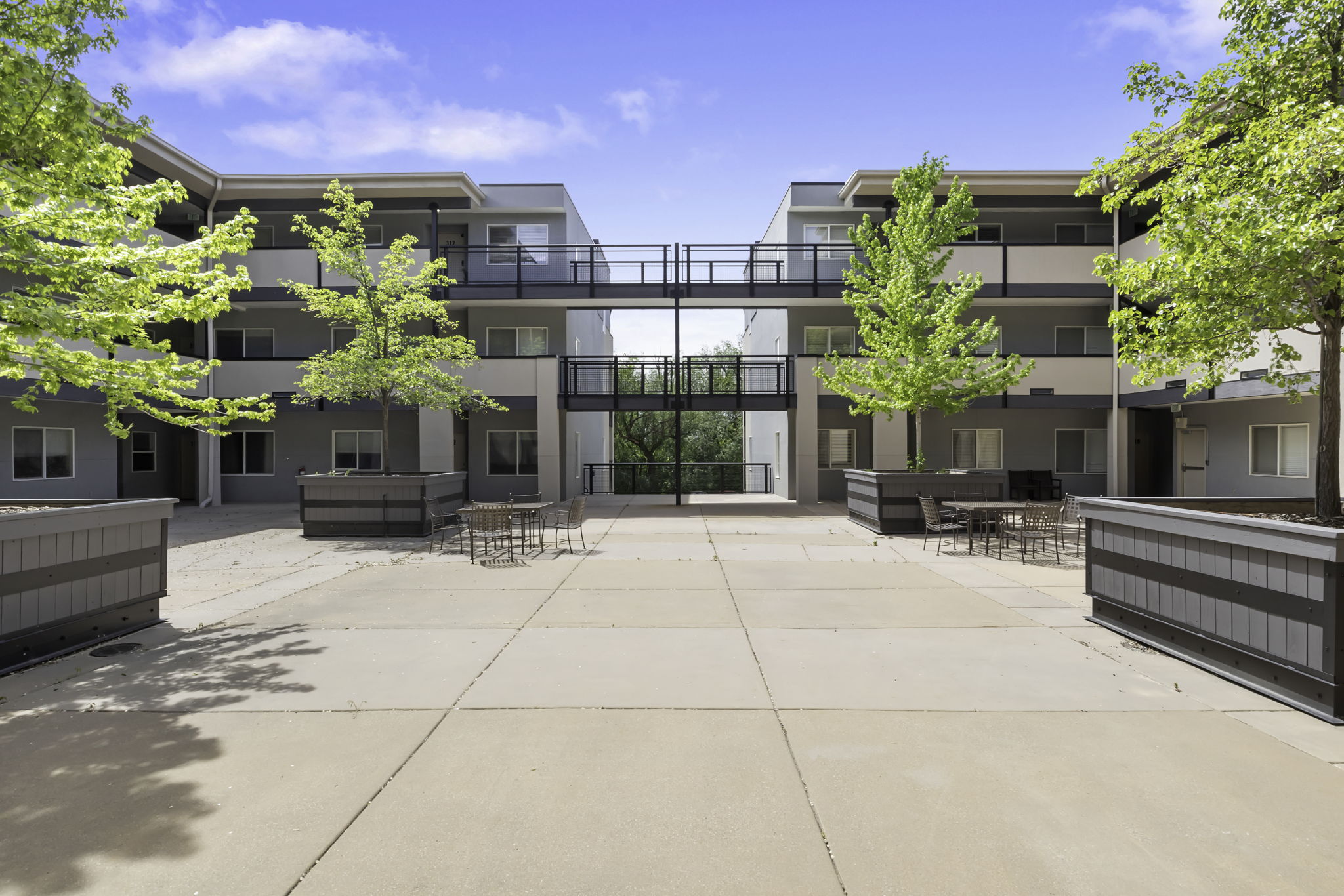 Expansive paved courtyard featuring mature trees within raised planters