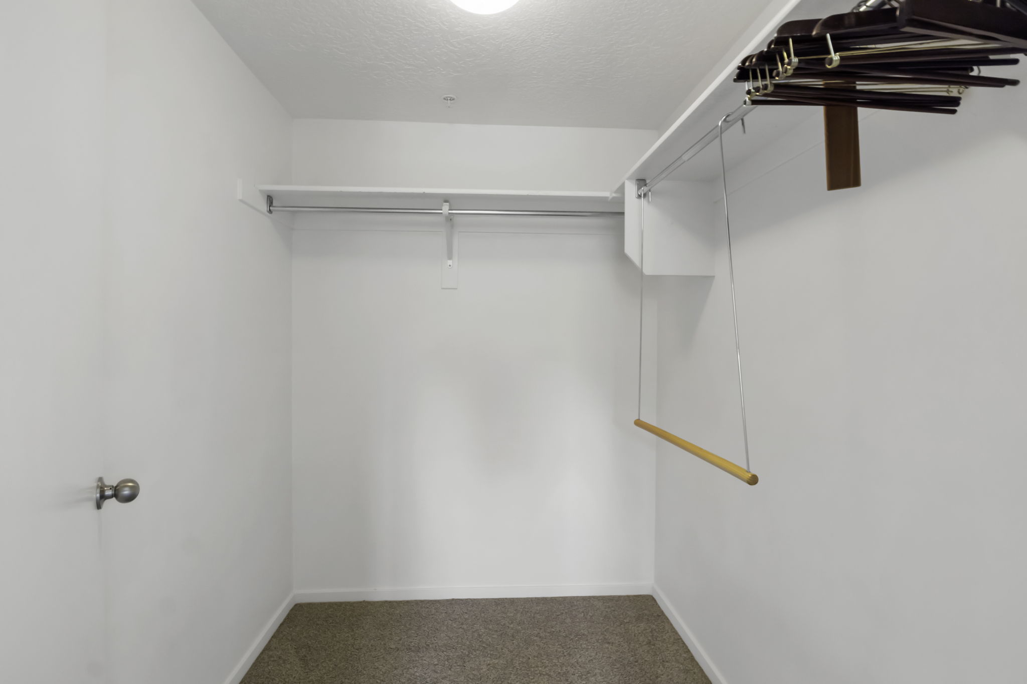 Walk-in closet featuring white walls, a carpeted floor, a built-in hanging rod, and an overhead shelf