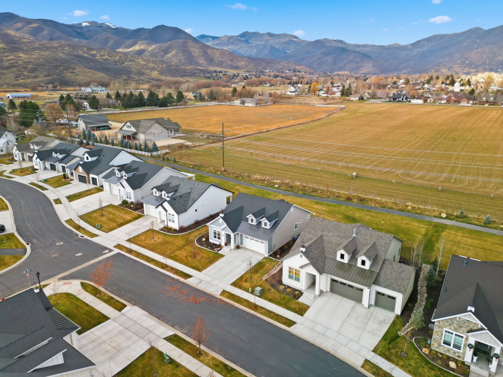 Residential community featuring a variety of single-family homes with uniform contemporary designs