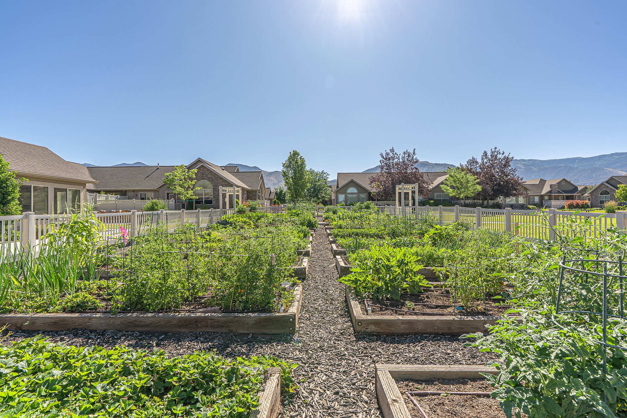 Expansive garden area featuring multiple raised beds with established plantings