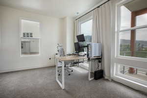 Room featuring soft gray carpeting, white baseboards, and a neutral wall color