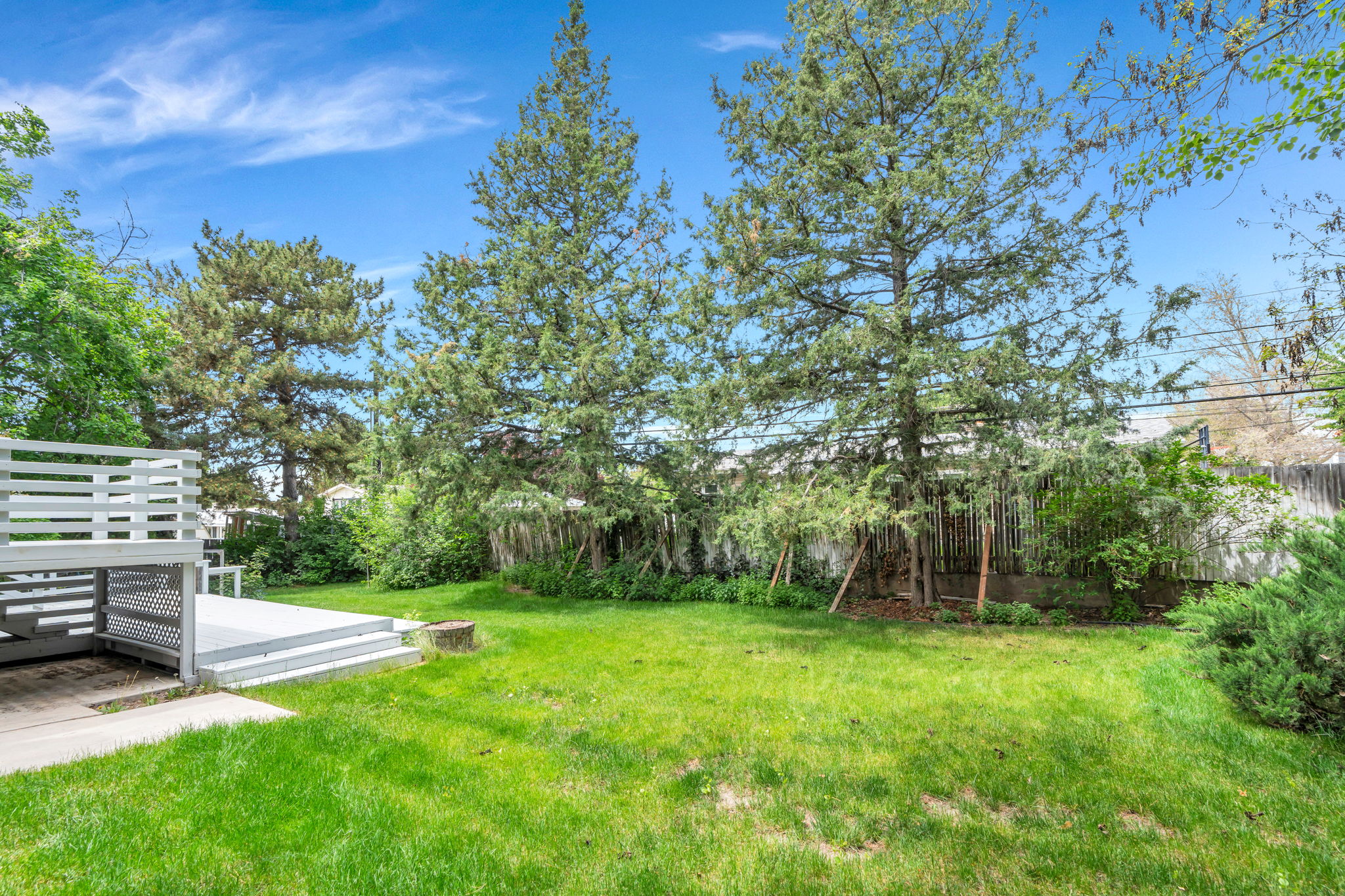 Large flat yard