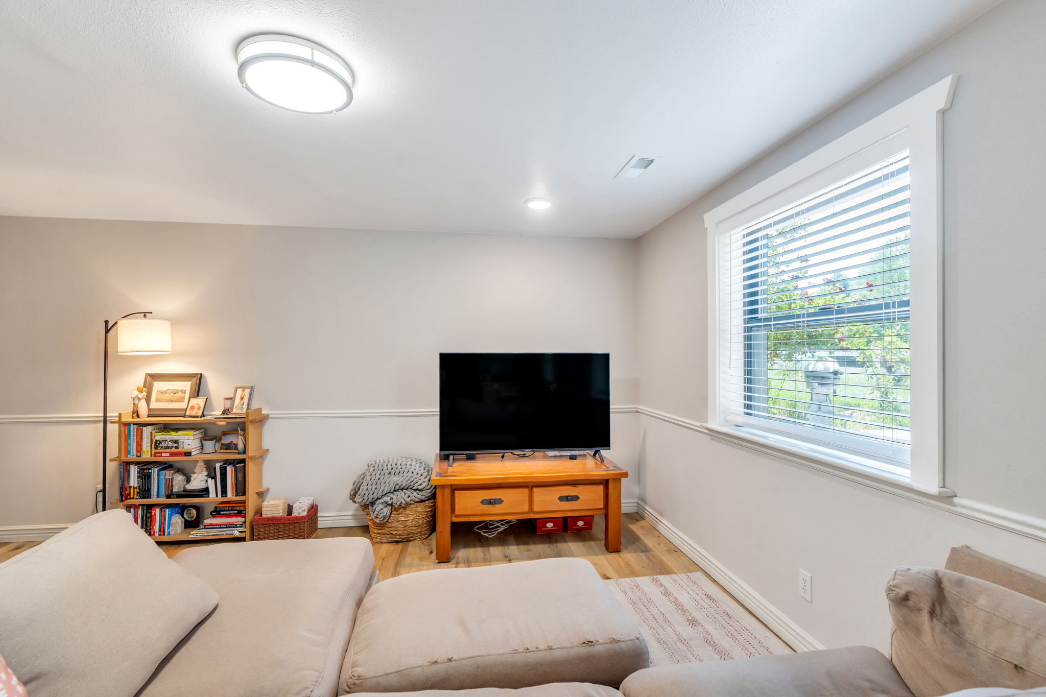 Basement apartment living room