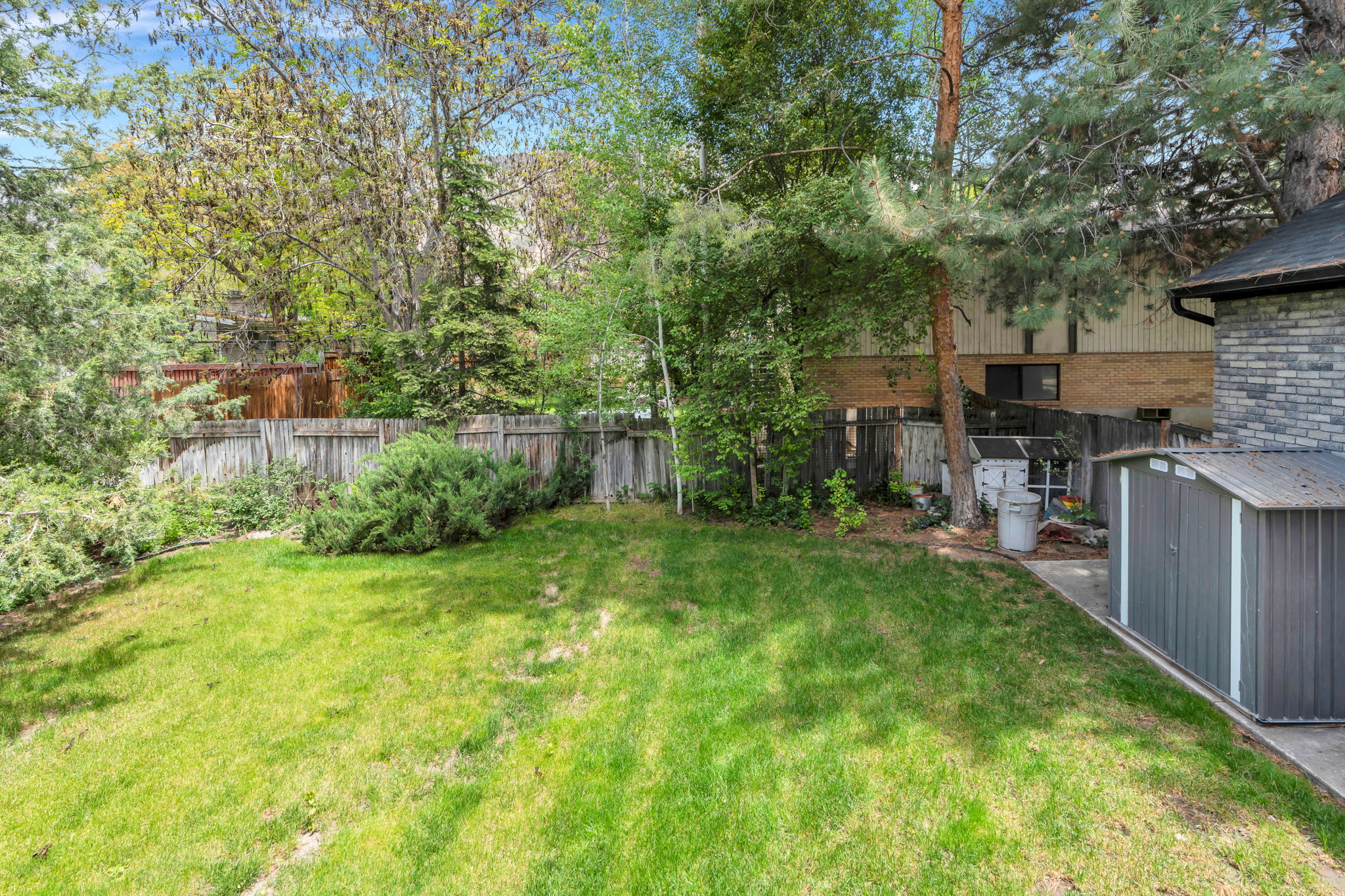 Spacious rear yard with storage shed