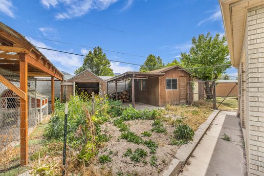 Expansive backyard featuring multiple outbuildings, including a shed with an attached covered area, a detached shed, and a covered animal enclosure