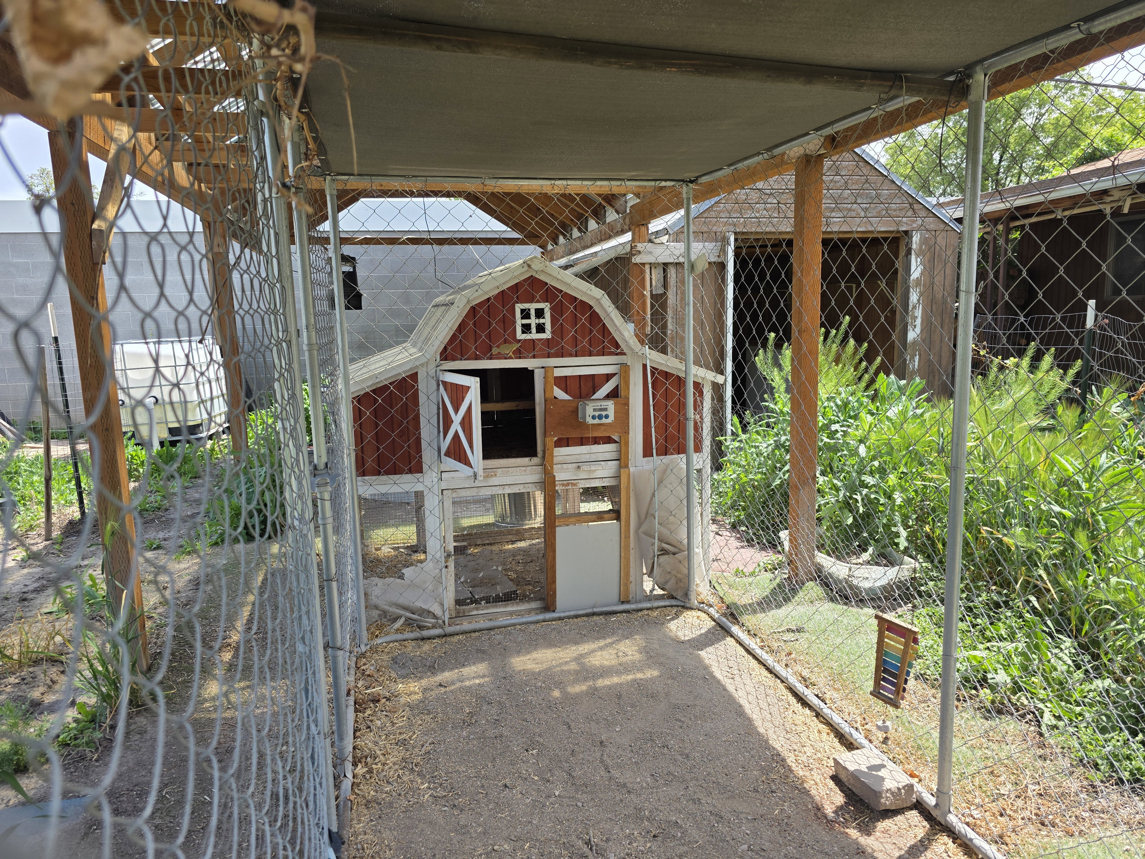 Enclosed outdoor structure featuring a red and white barn-style coop, a chain-link fence perimeter, and a partial shade covering