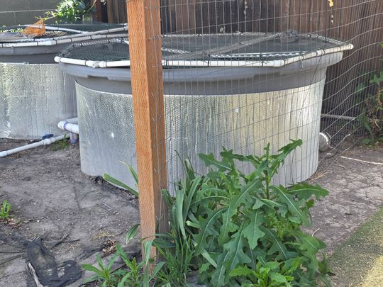 Two cylindrical tanks with reflective insulation, topped with mesh covers and PVC piping, situated in a fenced outdoor area