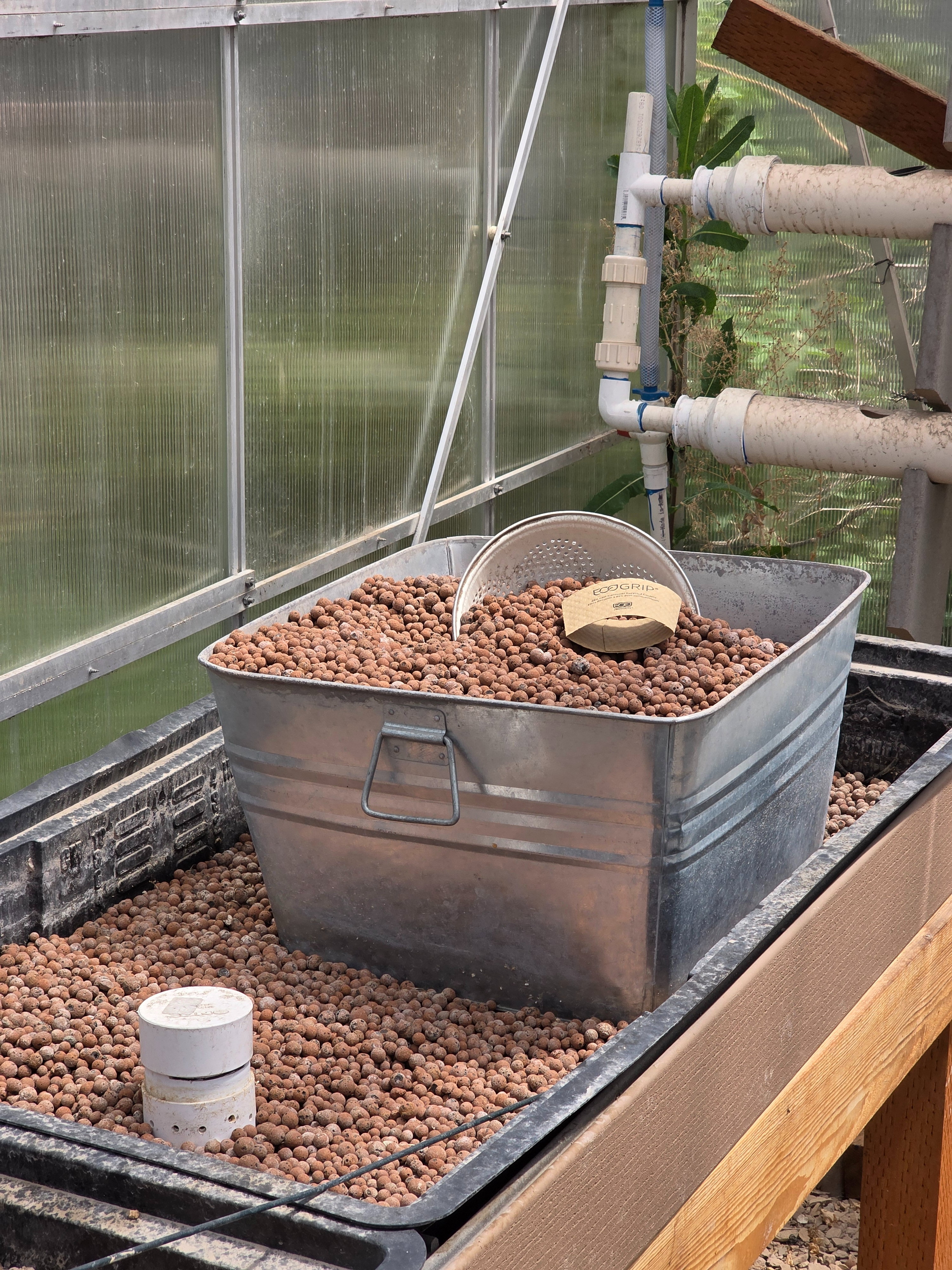 Greenhouse interior featuring a metal-framed polycarbonate panel wall
