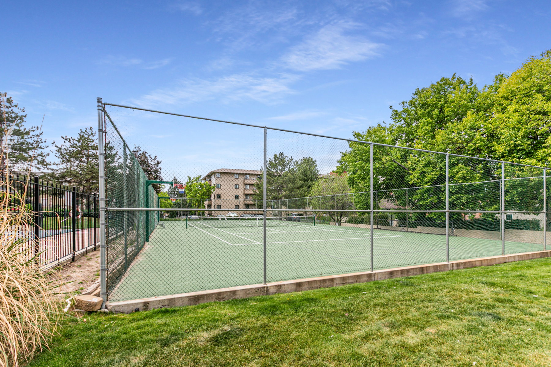 Fenced tennis court with a green playing surface and white court lines