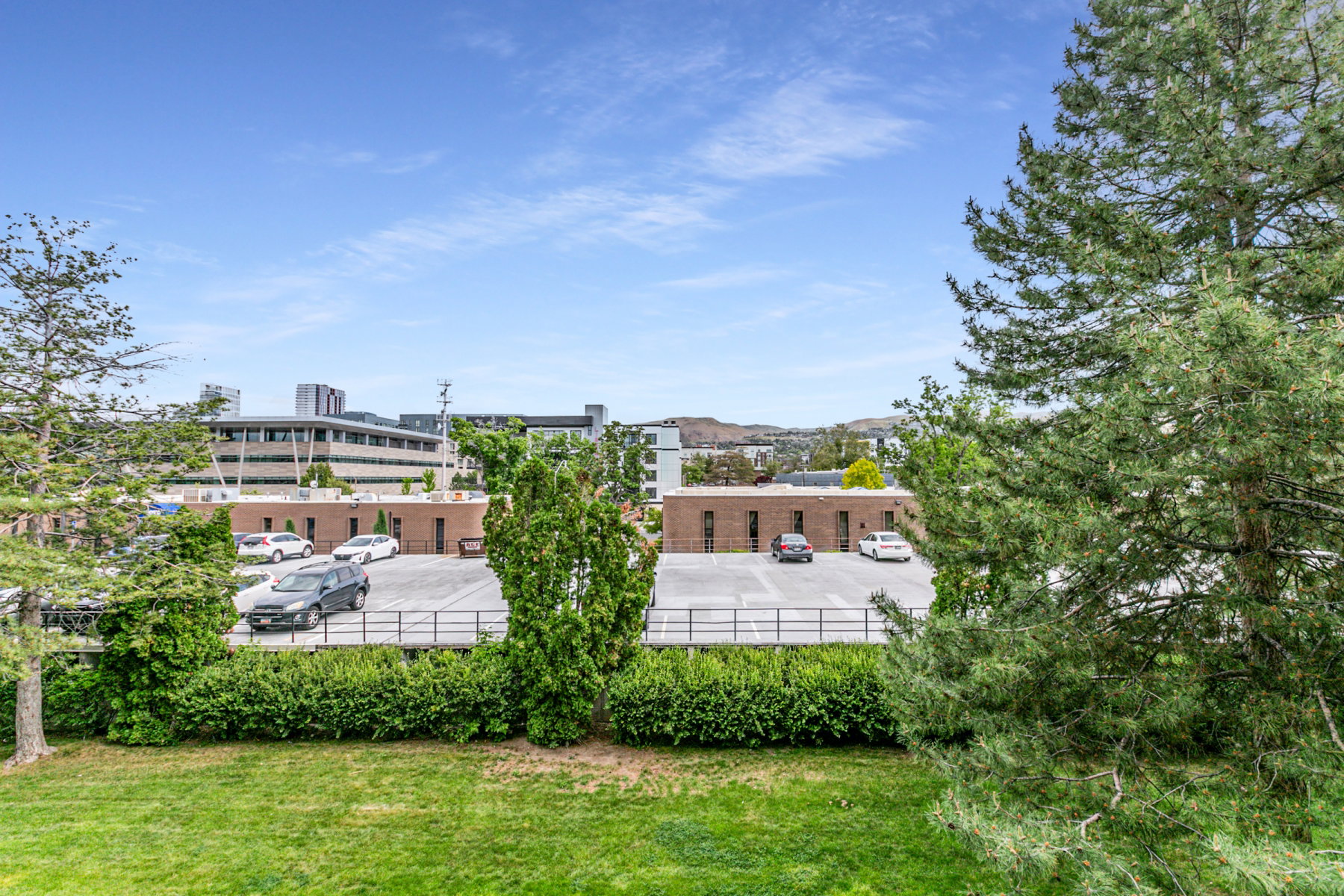Expansive outdoor green space featuring manicured lawn and mature trees