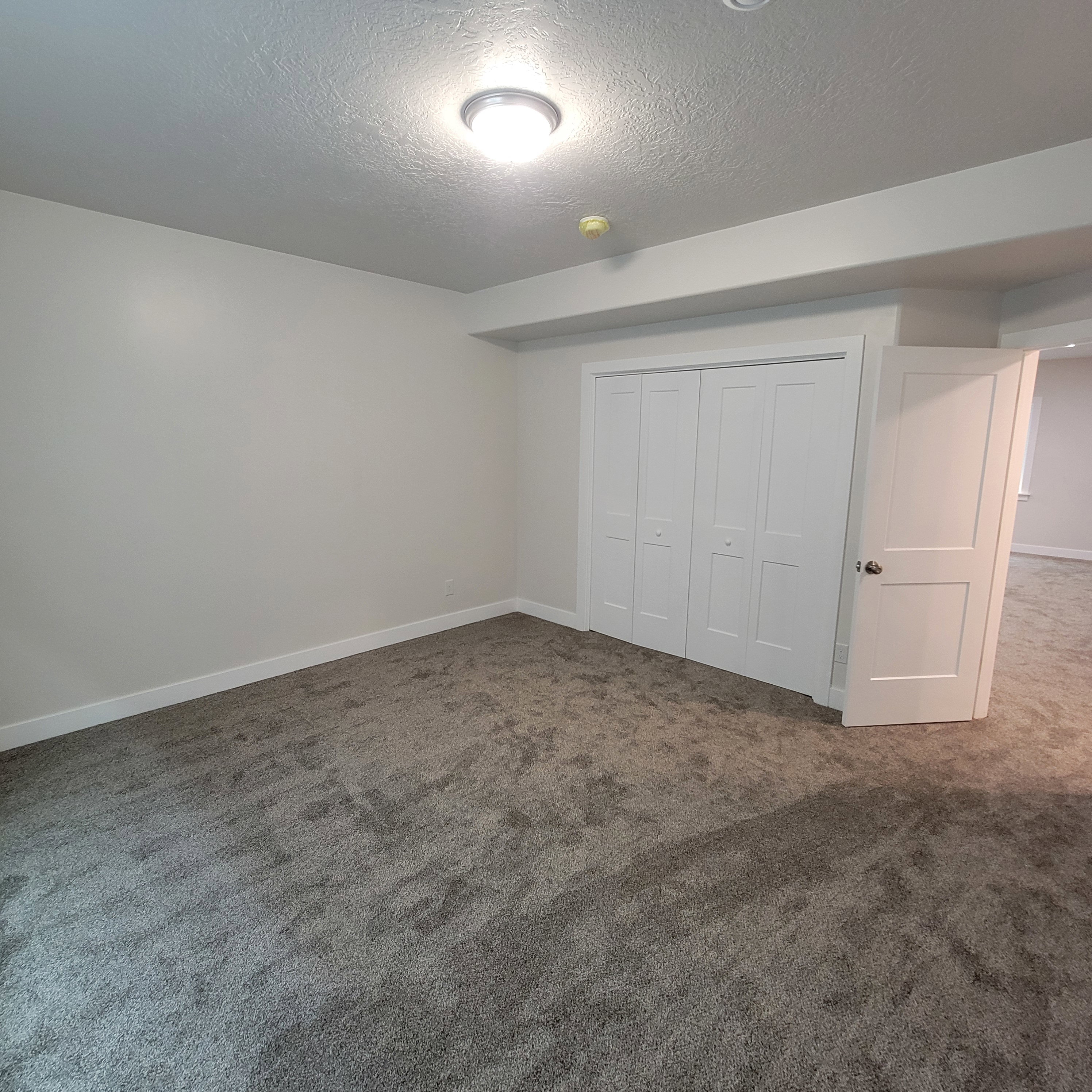 Room featuring grey carpeting, white walls, and a ceiling-mounted light fixture