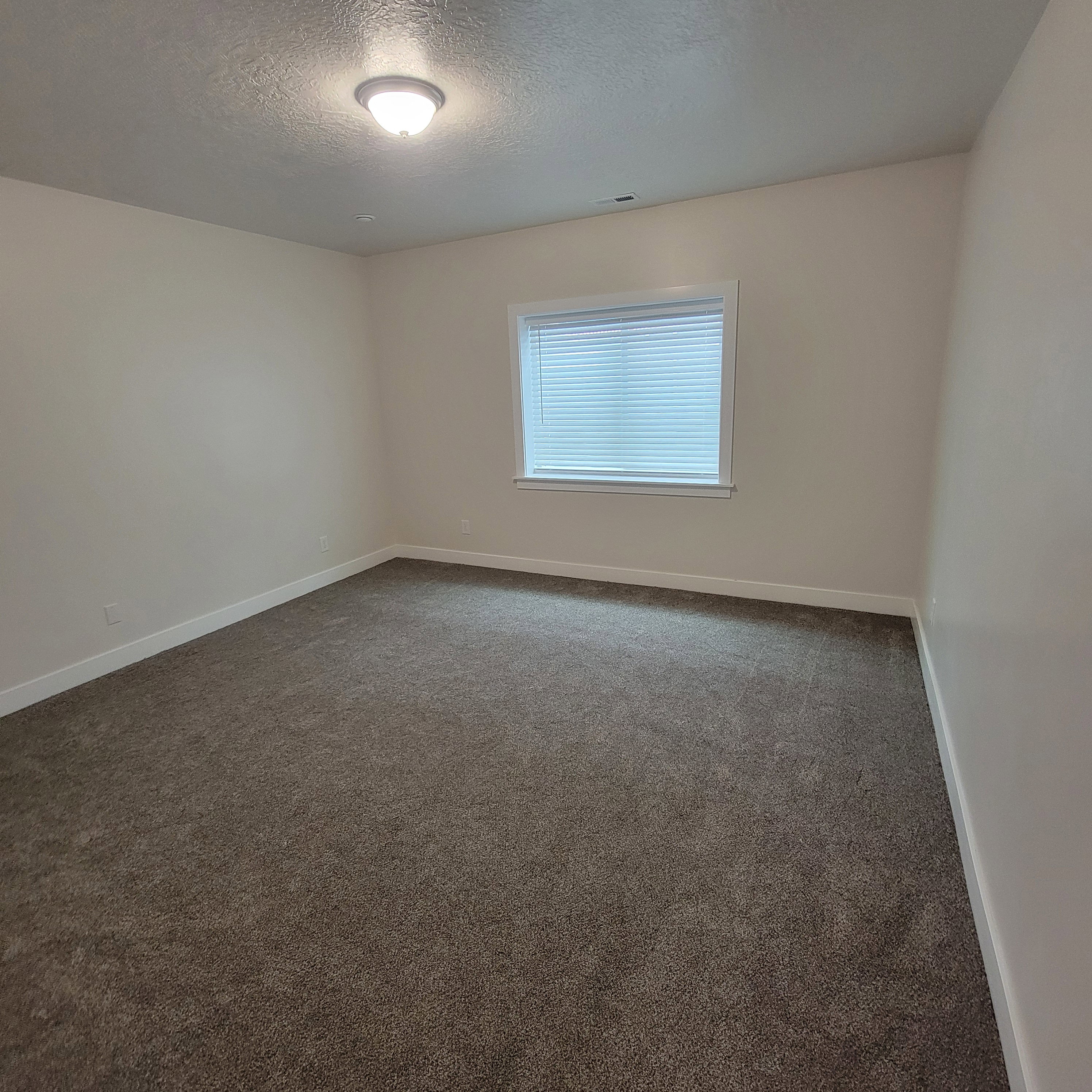 Spacious room featuring textured carpeting, white baseboards, and neutral wall paint