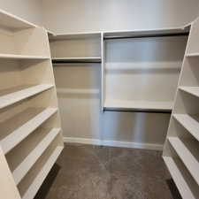 Walk-in closet featuring extensive built-in shelving, multiple hanging rods, and neutral carpet flooring