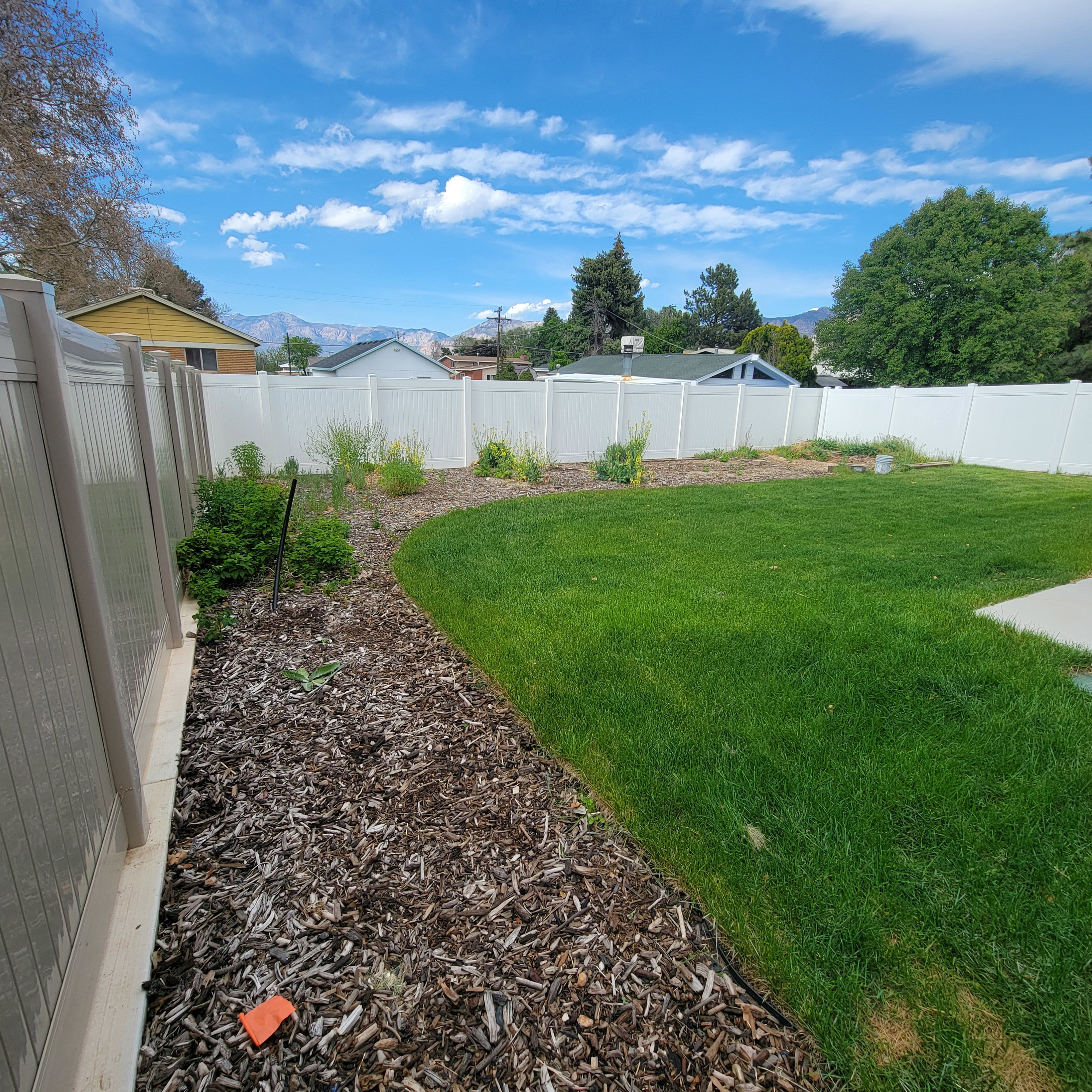 Expansive backyard featuring a green lawn, curved landscaping beds with wood chip ground cover, and a white privacy fence