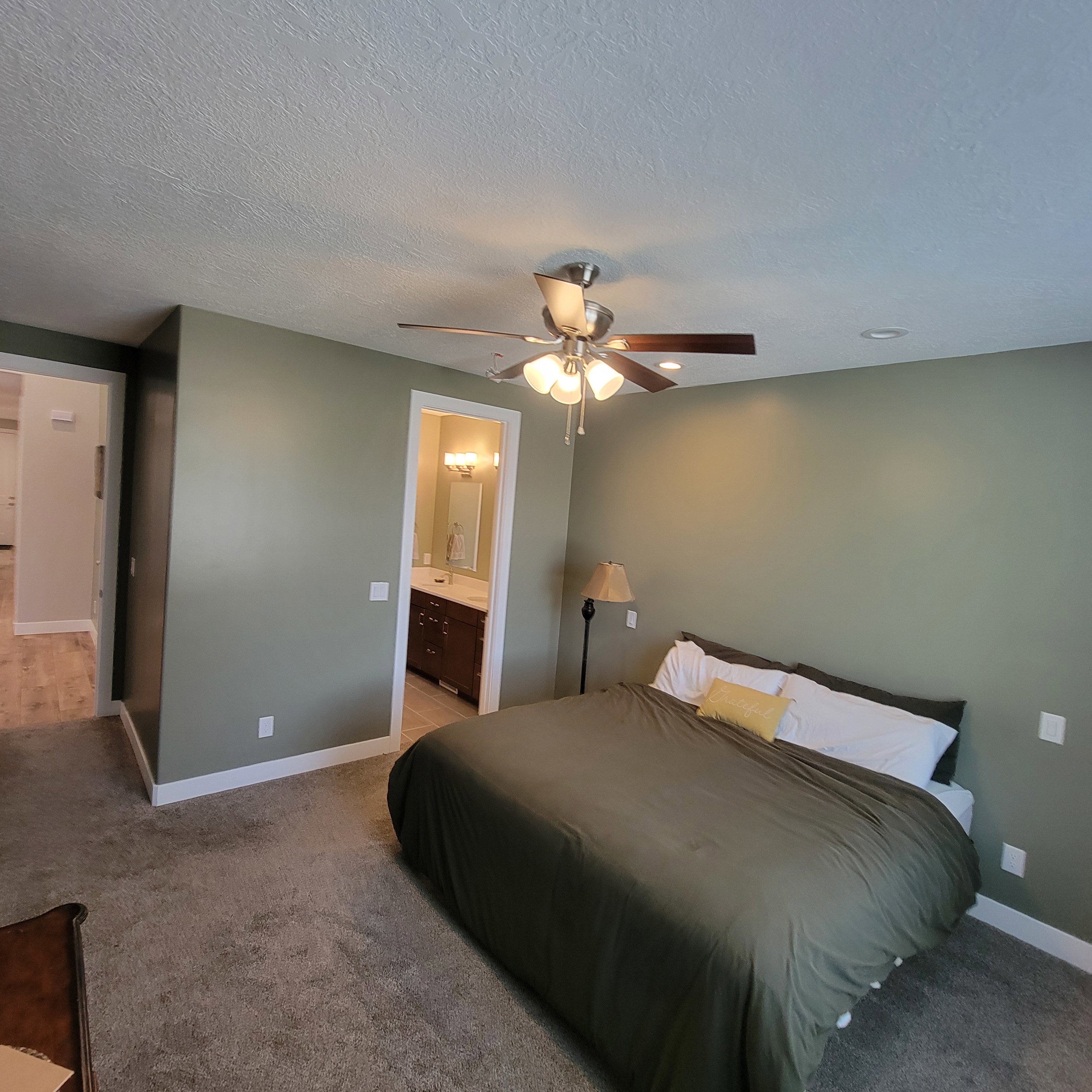 Spacious bedroom with plush carpeting, ceiling fan with light fixture, and an en-suite bathroom featuring a double vanity with ample storage