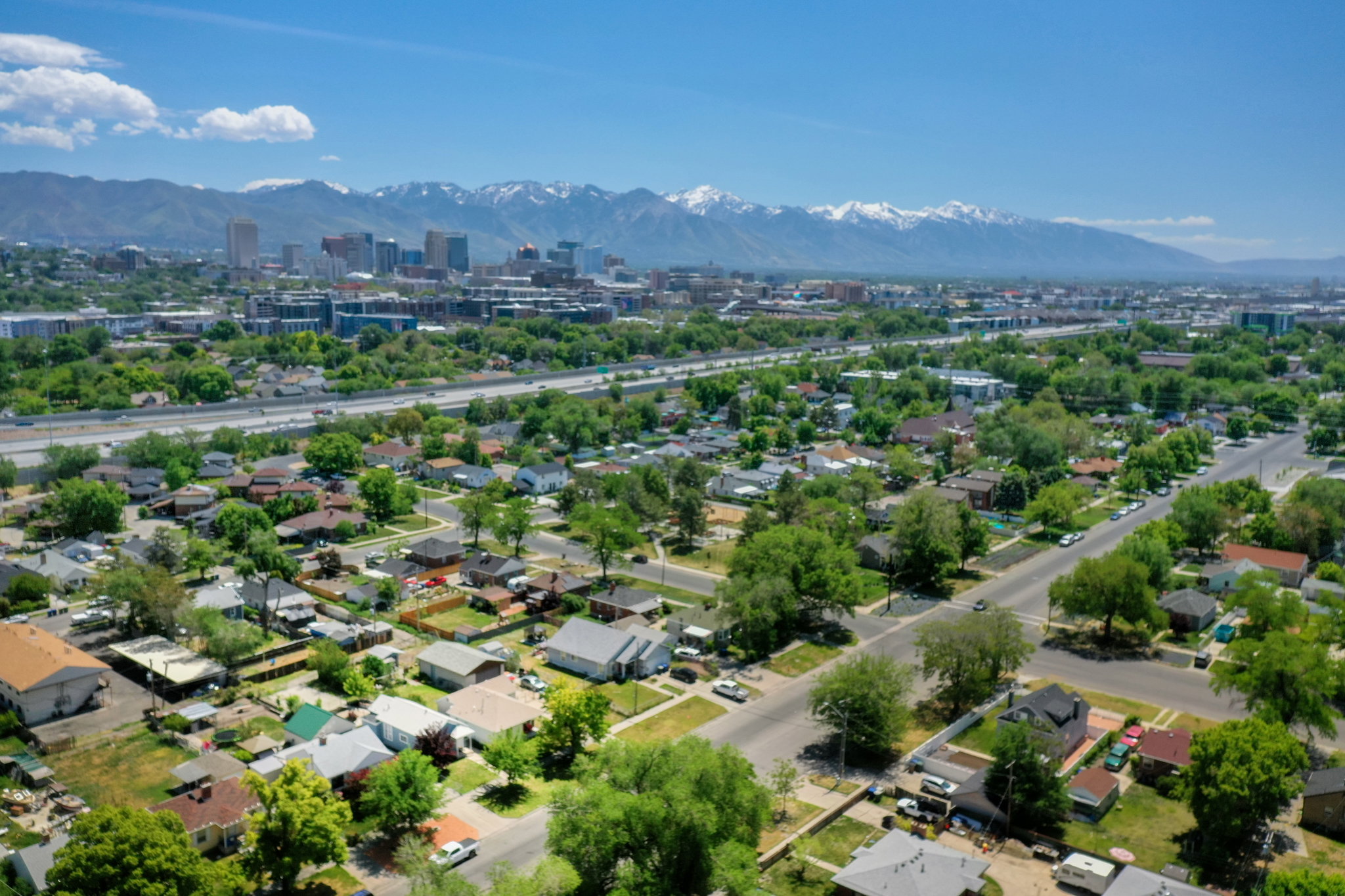 Aerial perspective showcasing a residential area with mature trees and a distant city skyline