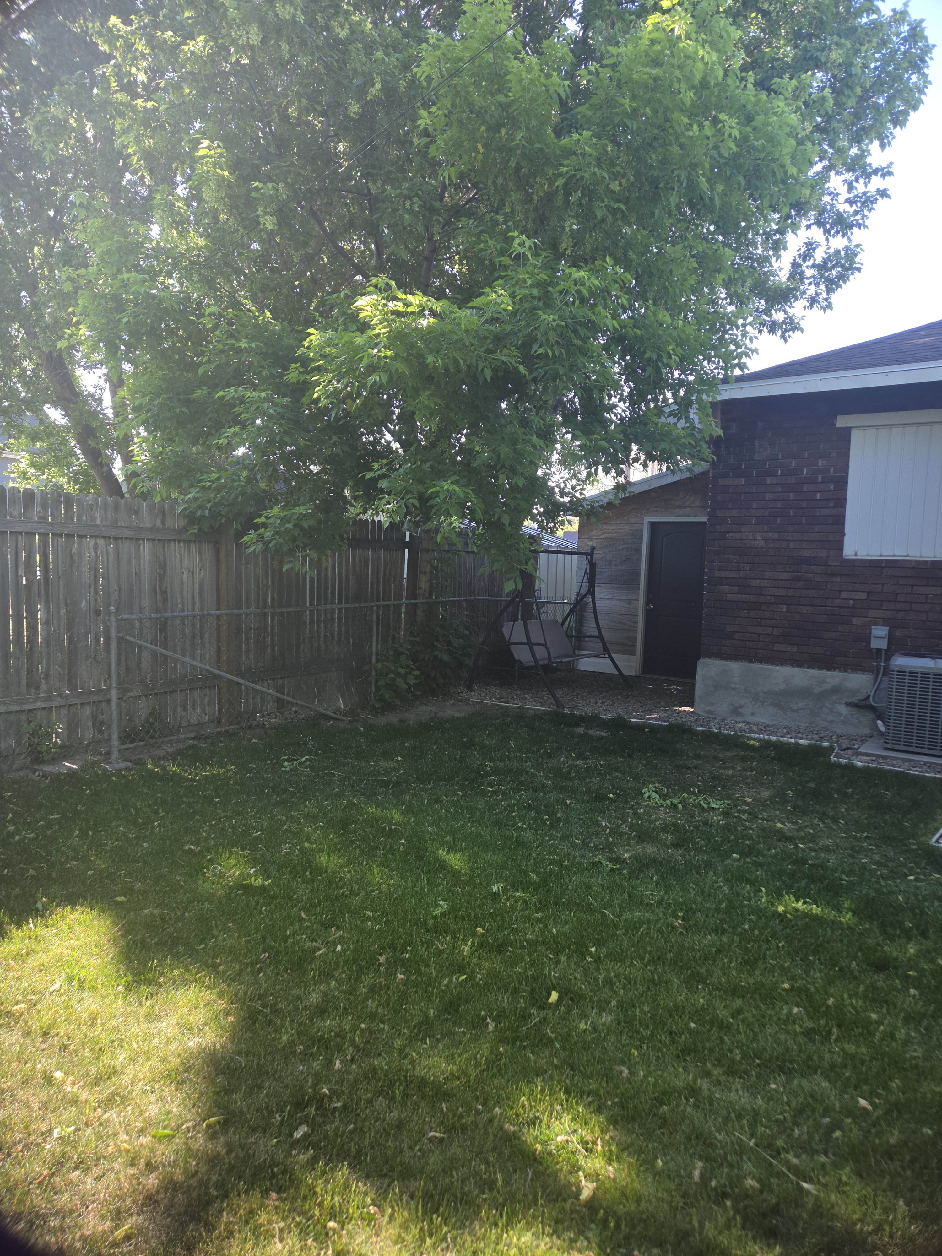 Expansive fenced yard with mature tree providing natural shade