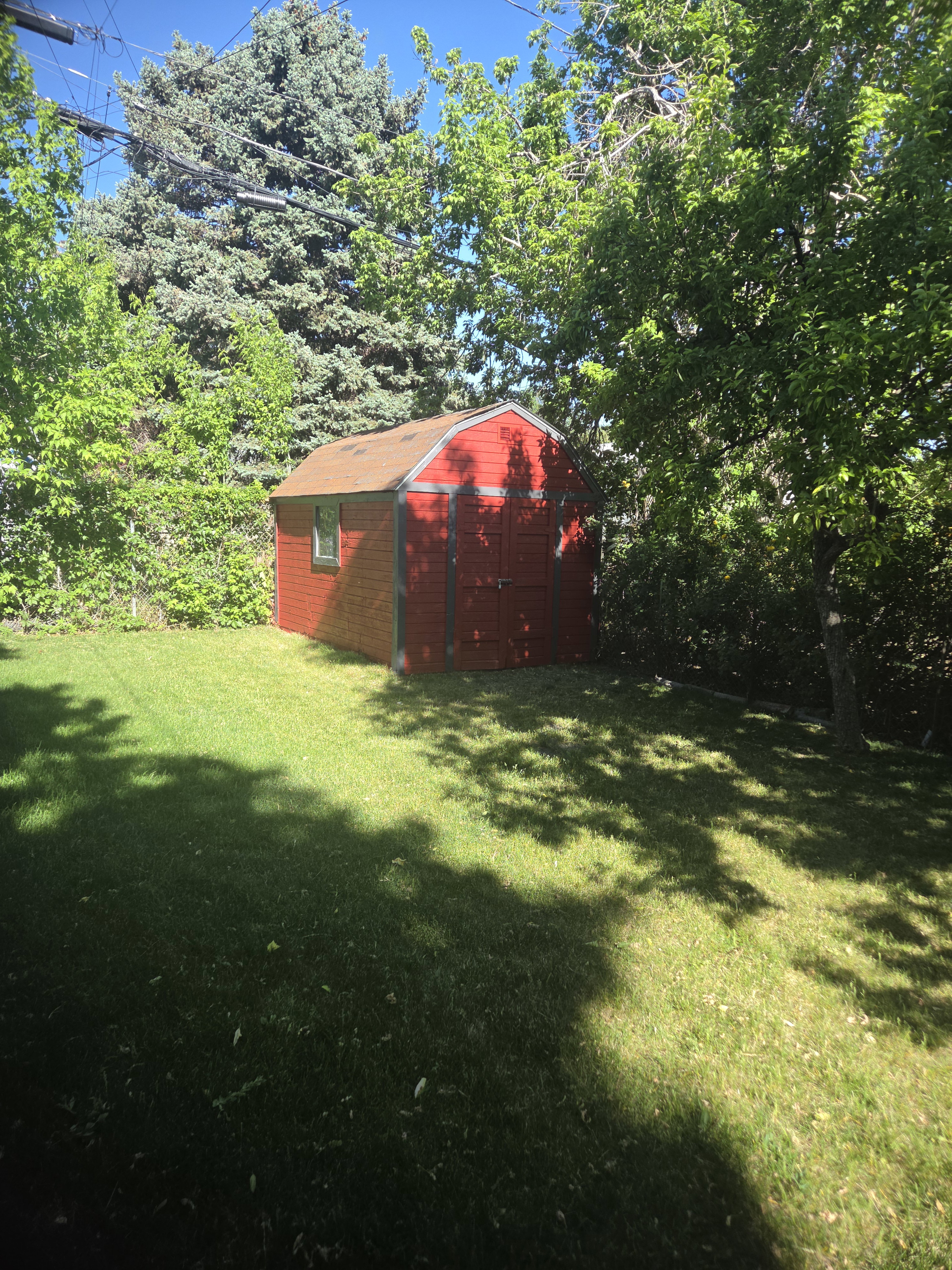 Red storage shed with a shingled roof and a single window
