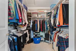 Walk-in closet featuring extensive built-in shelving, multiple hanging rods, and light-colored carpeting