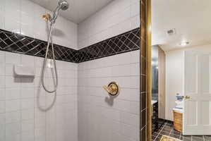 Steam room/showershower