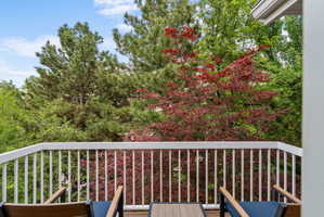 Master bedroom outdoor deck space with white railing, Trex flooring, and mature tree canopy